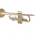 190L65GV Professional Trumpet