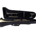 BTB411 Trombone in Case