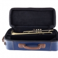 19072V Professional Trumpet in Case