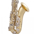 STS301 Tenor Saxophone