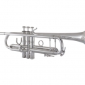 Bach 180S37 Professional Trumpet