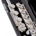 Selmer SFL611BC in Case