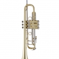 19072V Professional Trumpet