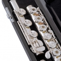 Selmer SFL611B in Case