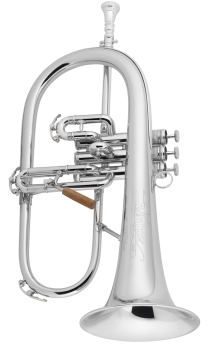 image of a 1FRSP Professional Flugelhorn